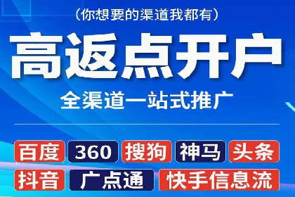 百度推广优化策略：成功案例解析